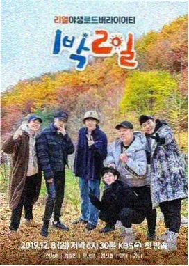 金牌影院跑男
