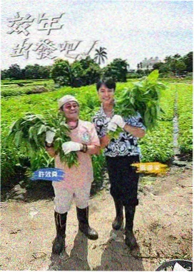 金牌影院乘风破浪